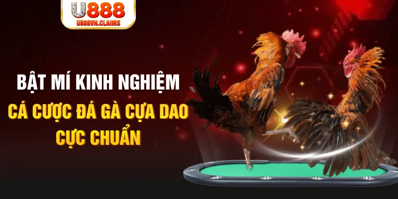 188 bet casino hồ tràm có cho người việt vào không
