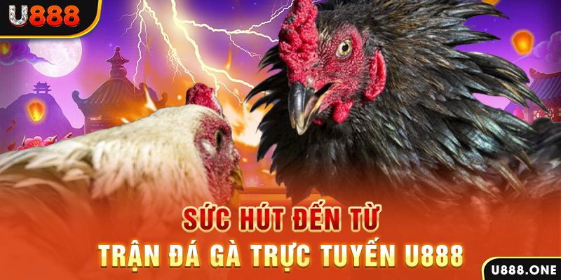 188 bet đăng nhập poker 2024