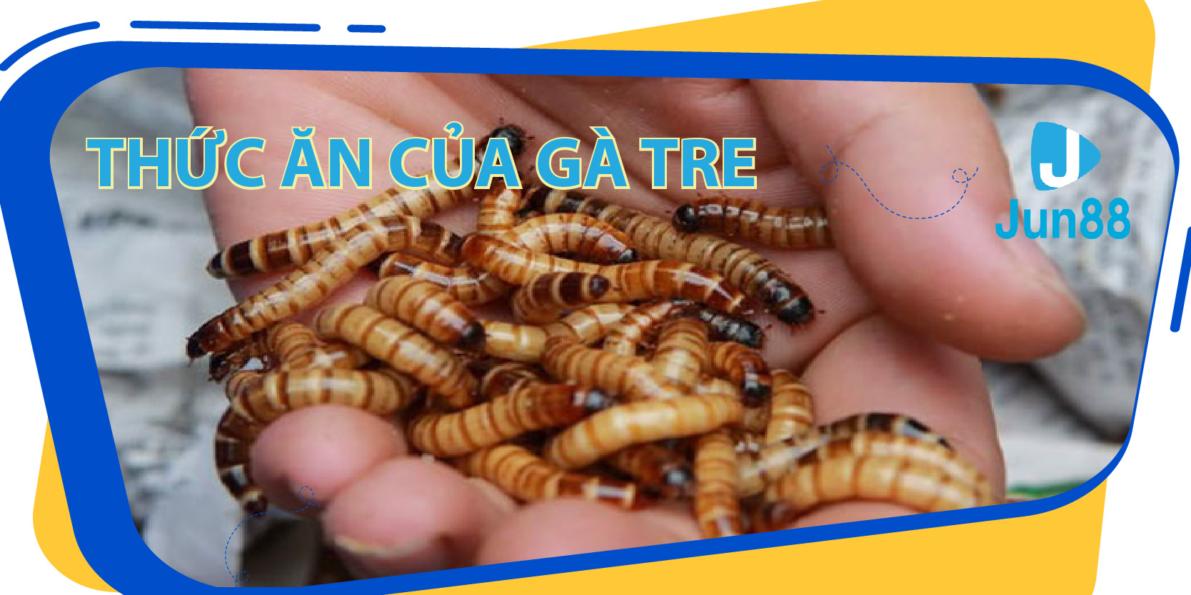 188 bet ban ca 30