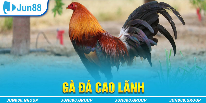 188 bet tai game vua bai ve may tinh