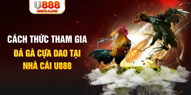 188 bet đá gà 88.com