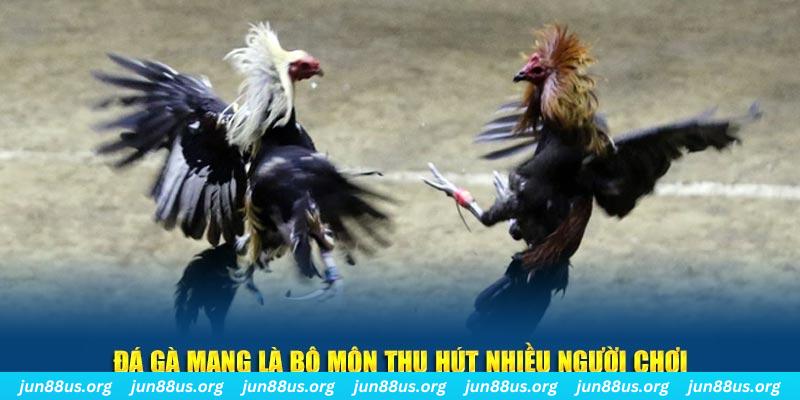 188 bet đăng nhập sòng bạc số 1