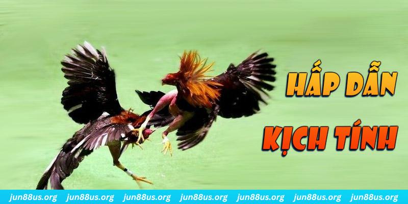 188 bet xổ số miền nam thứ sáu