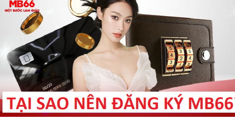 188 bet trực tiếp gà chọi c1
