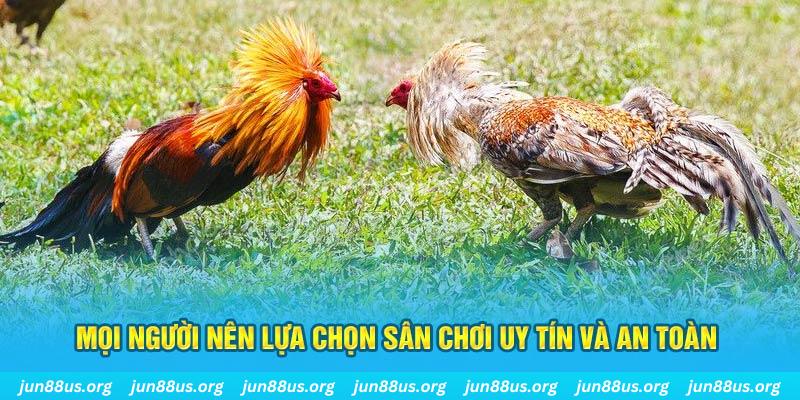 188 bet đăng nhập poker 2025