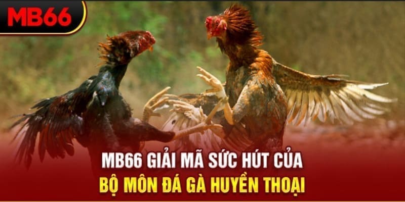 188 bet xổ số đài bắc