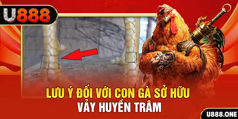 188 bet tải game đánh bài tiến lên miền nam về máy tính