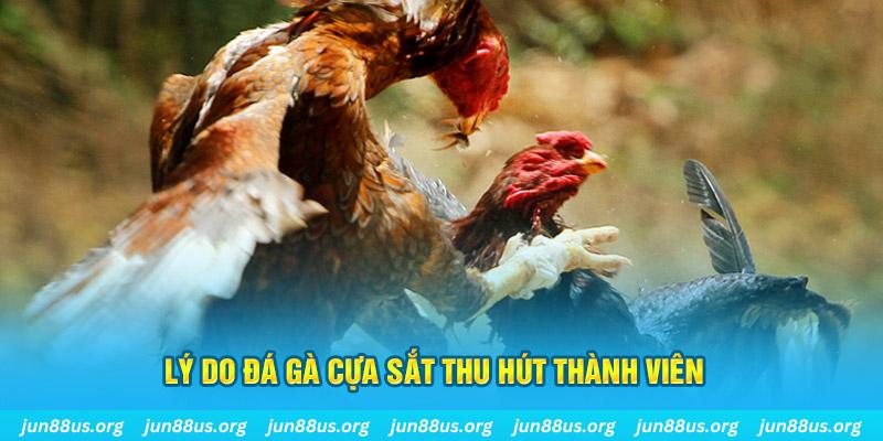 188 bet nổ hũ ăn bao nhiêu