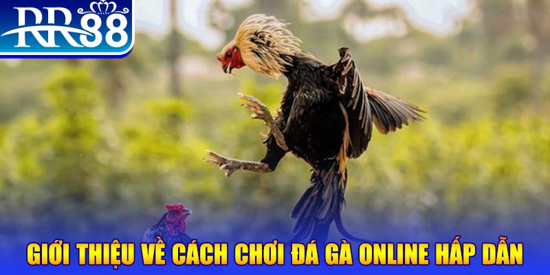 188 bet EvoPlay Điện Tử