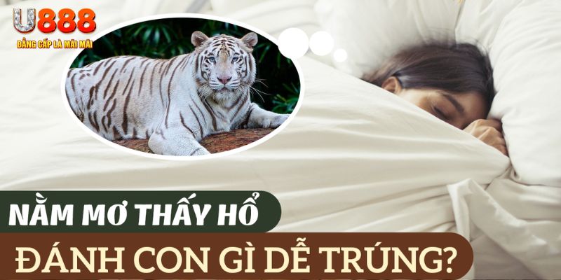 188 bet nohu .mx nổ hủ là gì