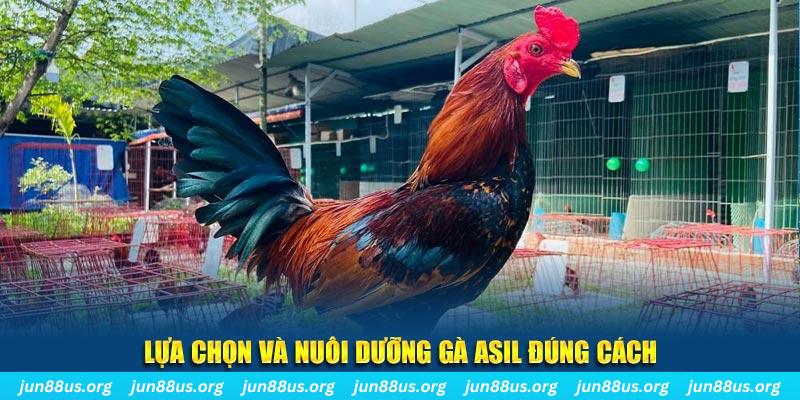 188 bet nổ hũ thần tài là gì