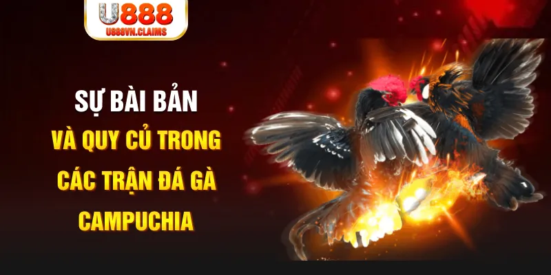 188 bet game xếp bài trên máy tính