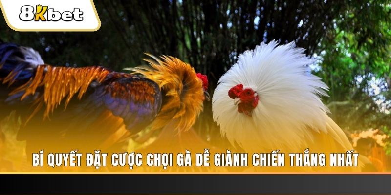 188 bet nổ hũ chơi như thế nào