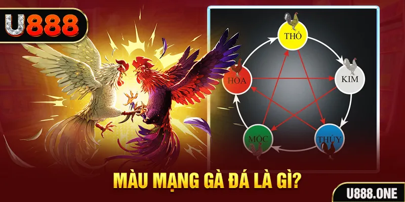 188 bet V8 Game Bài 3d