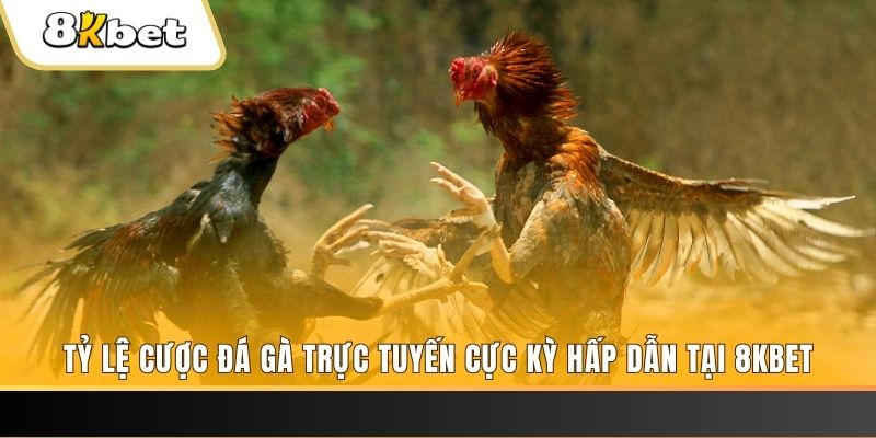 188 bet xổ số miền bắc chủ nhật
