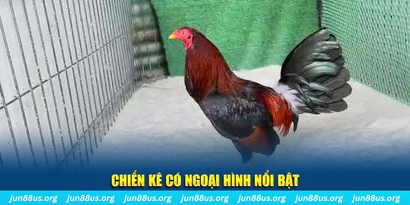 188 bet qq88 bắn cá