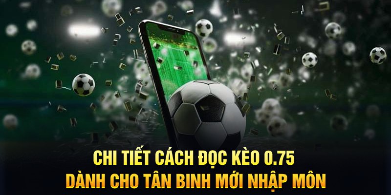 188 bet Xì tố