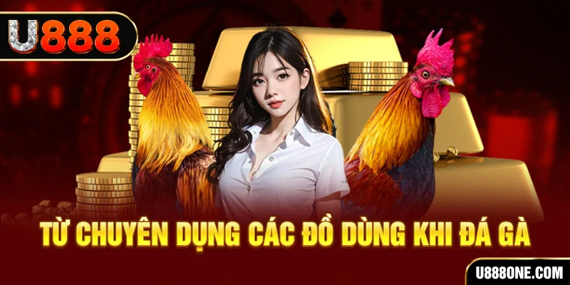 188 bet đăng nhập poker trực tiếp